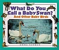 What Do You Call a Baby Swan? (Library)
