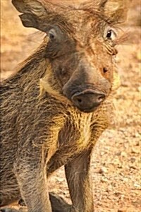 Adorable Baby Warthog in Africa Journal: 150 Page Lined Notebook/Diary (Paperback)