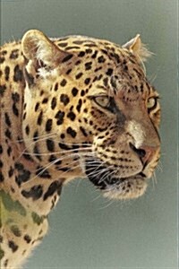 Leopard in the Sun Journal: 150 Page Lined Notebook/Diary (Paperback)