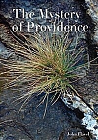 The Mystery of Providence (Hardcover)