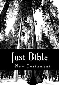 Just Bible: New Testament (Paperback)