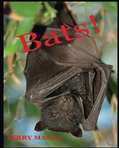 Bats: Learn about These Strange and Wonderful Creatures of the Night (Paperback)