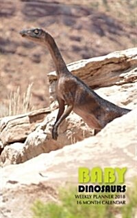 Baby Dinosaurs Weekly Planner 2018: 16 Month Calendar (Paperback)