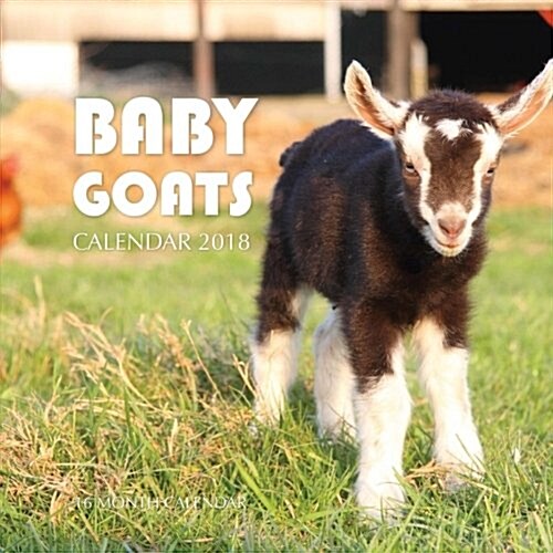 Baby Goats Calendar 2018: 16 Month Calendar (Paperback)