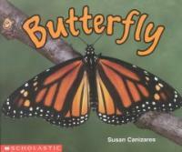 Butterfly (Paperback)
