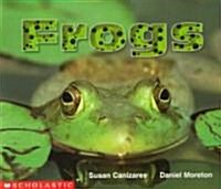 [중고] Frogs (Paperback)