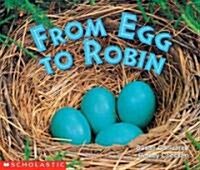 [중고] From Egg to Robin (Paperback)