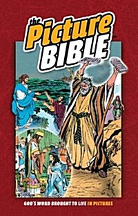 The Picture Bible (Hardcover)