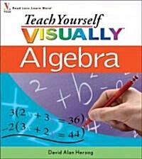 Teach Yourself Visually Algebra (Paperback)