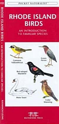 Rhode Island Birds: A Folding Pocket Guide to Familiar Species (Paperback)