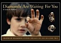 Diamonds Are Waiting for You (Paperback)