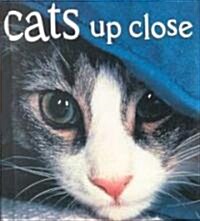 Cats Up Close (Hardcover)