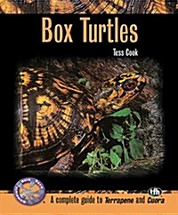 Box Turtles (Paperback)