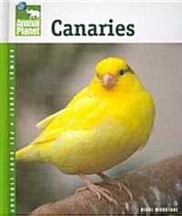 Canaries (Hardcover)