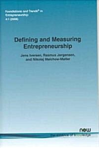 Defining and Measuring Entrepreneurship (Paperback)