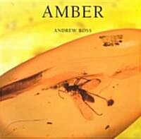 Amber (Paperback)