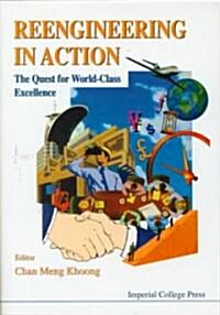 Reengineering In Action: The Quest For World-class Excellence (Hardcover)
