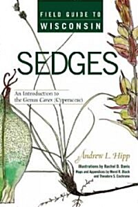 Field Guide to Wisconsin Sedges: An Introduction to the Genus Carex (Cyperaceae) (Paperback)