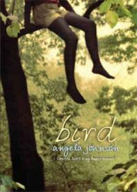 Bird (Hardcover)