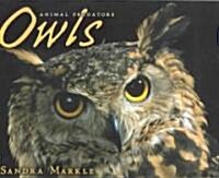 Owls (Paperback)
