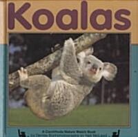 Koalas (Hardcover)