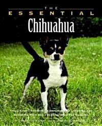 The Essential Chihuahua (Paperback)