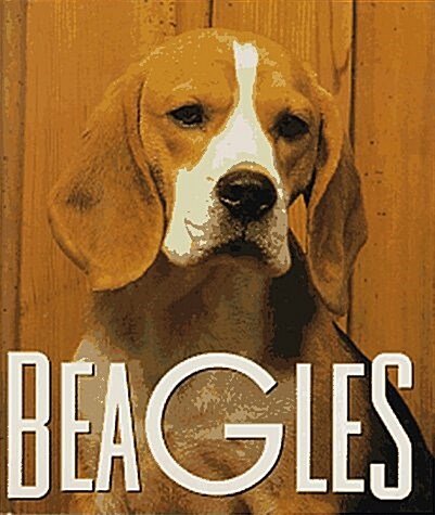 Beagles (Hardcover, Mini)