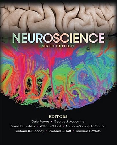 Neuroscience (Hardcover, 6)