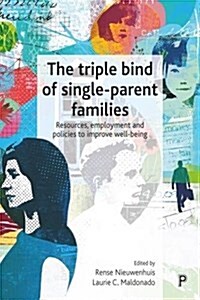 The triple bind of single-parent families : Resources, employment and policies to improve wellbeing (Hardcover)