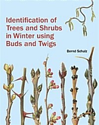 Identification of Trees and Shrubs in Winter Using Buds and Twigs (Hardcover)