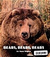 [중고] Bears Bears Bears, Reader Gr Level 2 (Paperback)