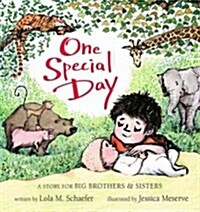 One Special Day: A Story for Big Brothers and Sisters (Hardcover)