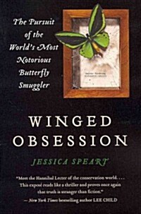 Winged Obsession (Paperback)