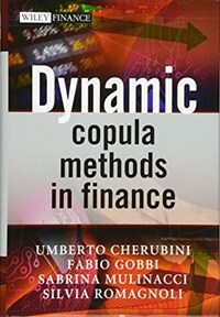 Dynamic copula methods in finance