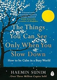 The Things You Can See Only When You Slow Down : How to be Calm in a Busy World (Paperback)