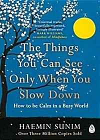 [중고] The Things You Can See Only When You Slow Down : How to be Calm in a Busy World (Paperback)