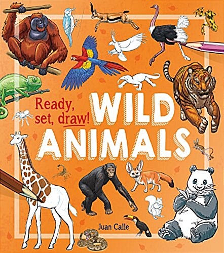 Ready, Set, Draw!: Wild Animals (Paperback)