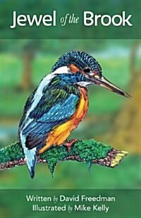 Jewel of the Brook: The Kingfishers Tale (Paperback)