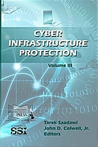 Cyber Infrastructure Protection, VIII (Paperback)