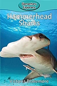 Hammerhead Sharks (Paperback)