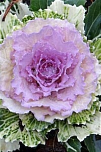 Decorative Flowering Cabbage Journal: 150 Page Lined Notebook/Diary (Paperback)