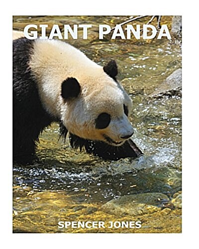Giant Panda (Paperback)