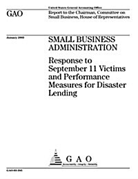 Victims and Performance Measures for Disaster Lending (Paperback)