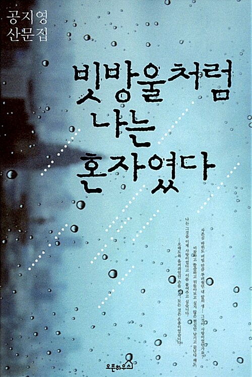 [중고] 빗방울처럼 나는 혼자였다