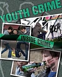 Youth Crime (Hardcover)