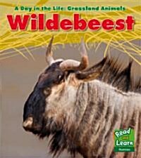Wildebeest (Hardcover)
