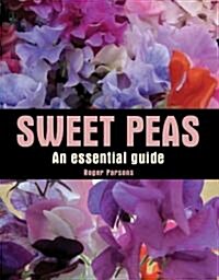 Sweet Peas : An Essential Guide (Hardcover)