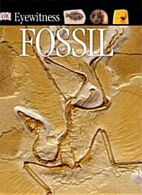 [중고] Fossil (Paperback)