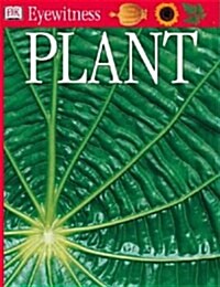 Plant (Paperback)