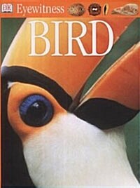 Bird (2nd Edition, Paperback)